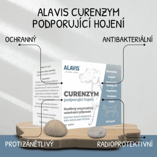 ALAVIS Curenzym Enzymoterapia 20 tbl.