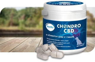 Fortify Chondro CBD 140 tbl.